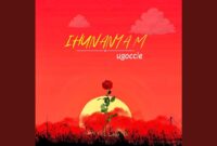ugoccie ihunanyam
