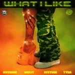 Cover art for What I Like by Rvssian MOLIY Ayeitan and Tyga